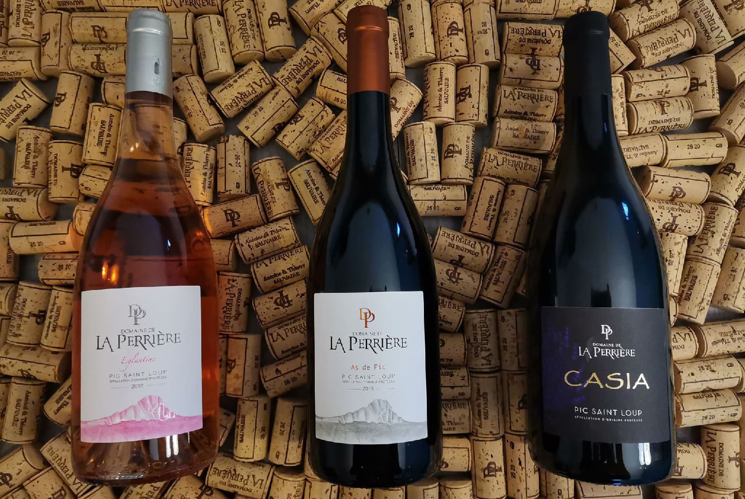 Domaine de la Perriere - 2018 Pic st Loup