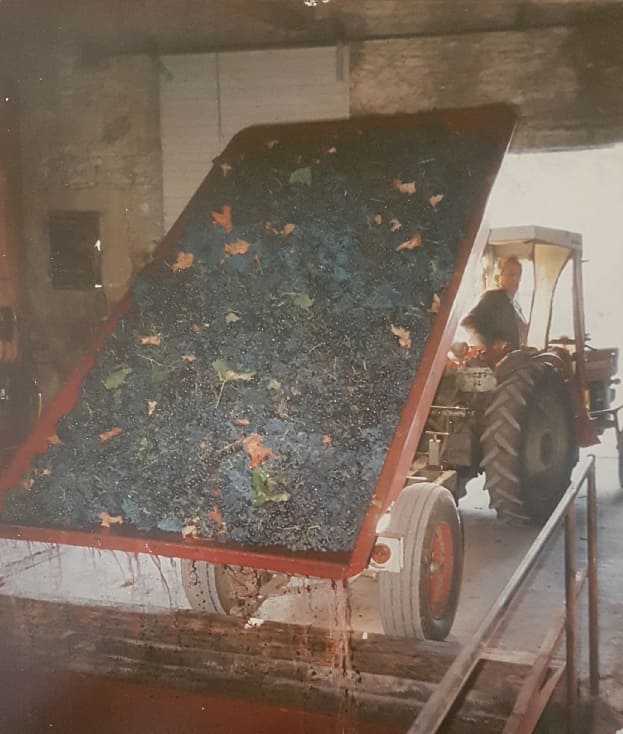 Domaine de la Perrière - Papi - Reconstruction du domaine