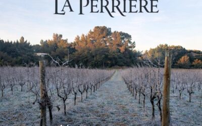 Meilleurs Voeux 2026