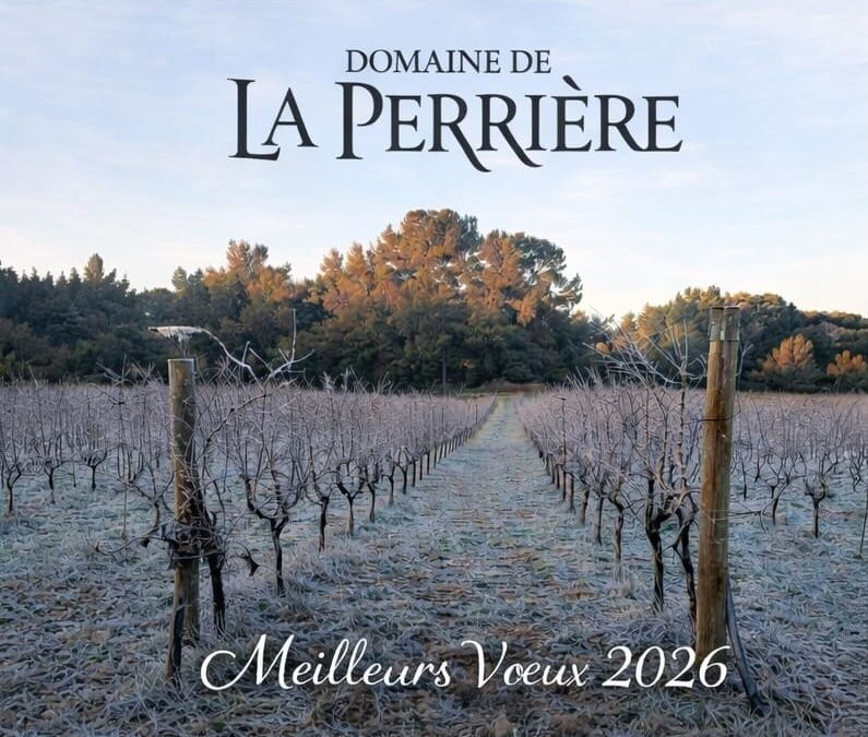 Meilleurs Voeux 2026